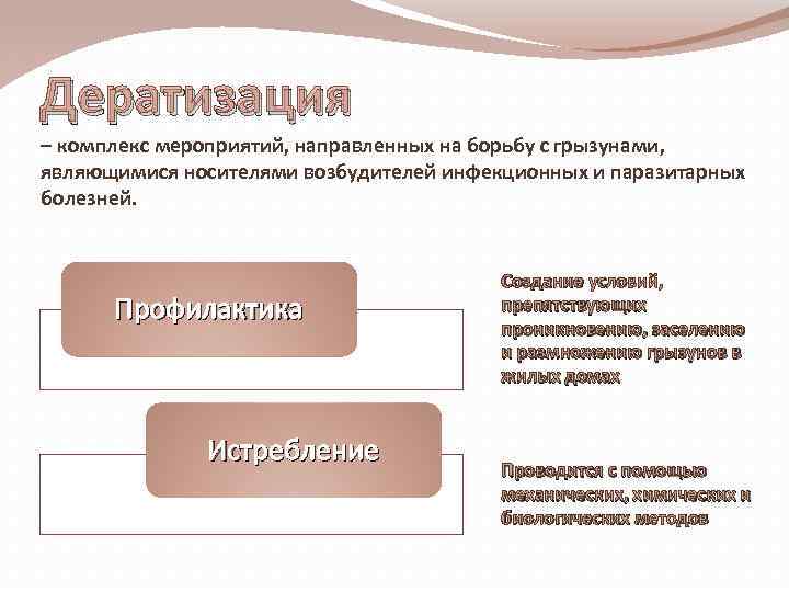 На фото описано понятие дератизации